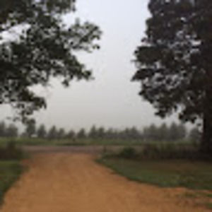 Meet your Posher, Wisco